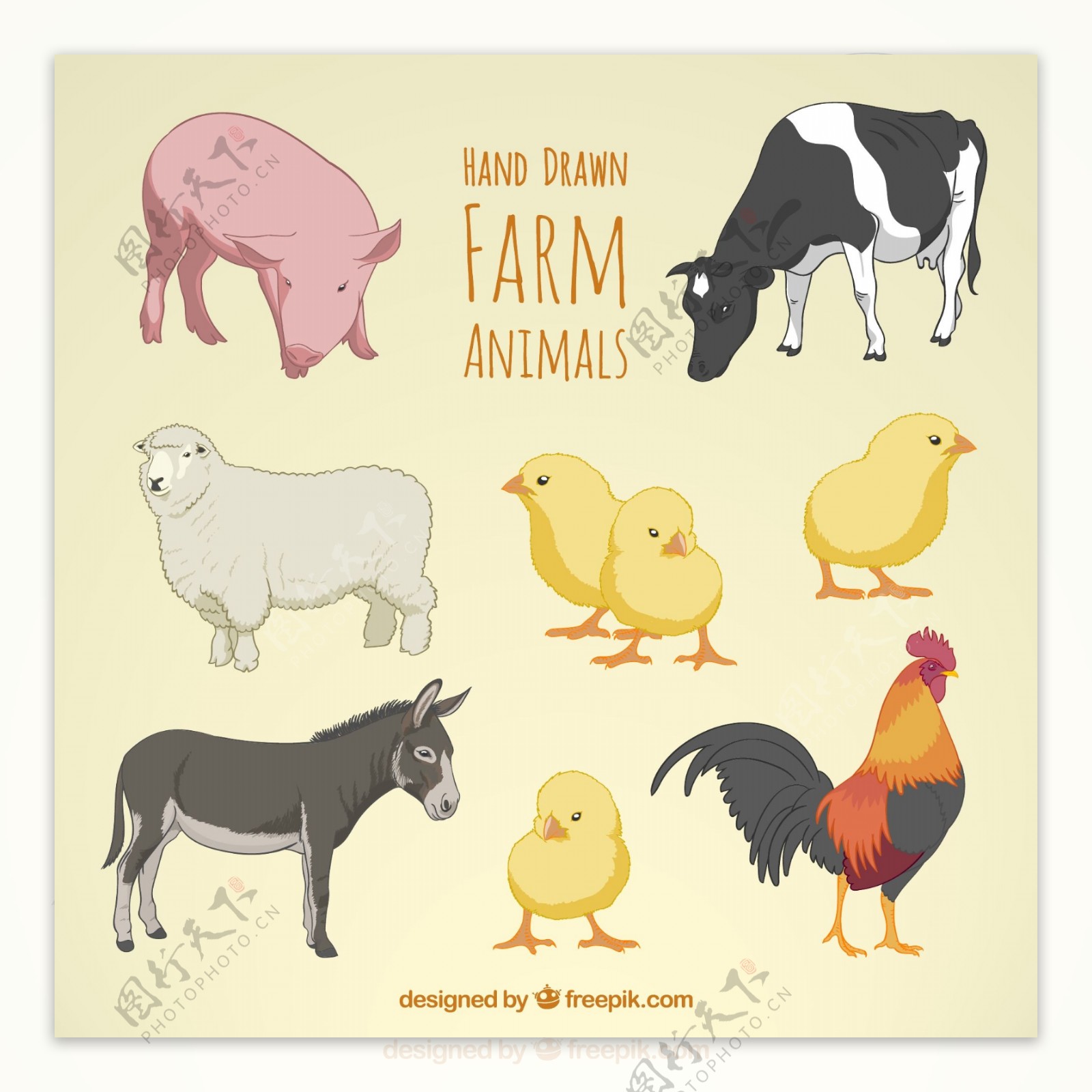 手绘农场动物图片