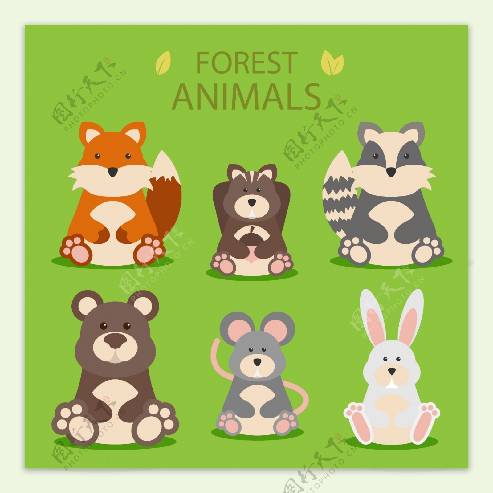 有趣的森林动物图片