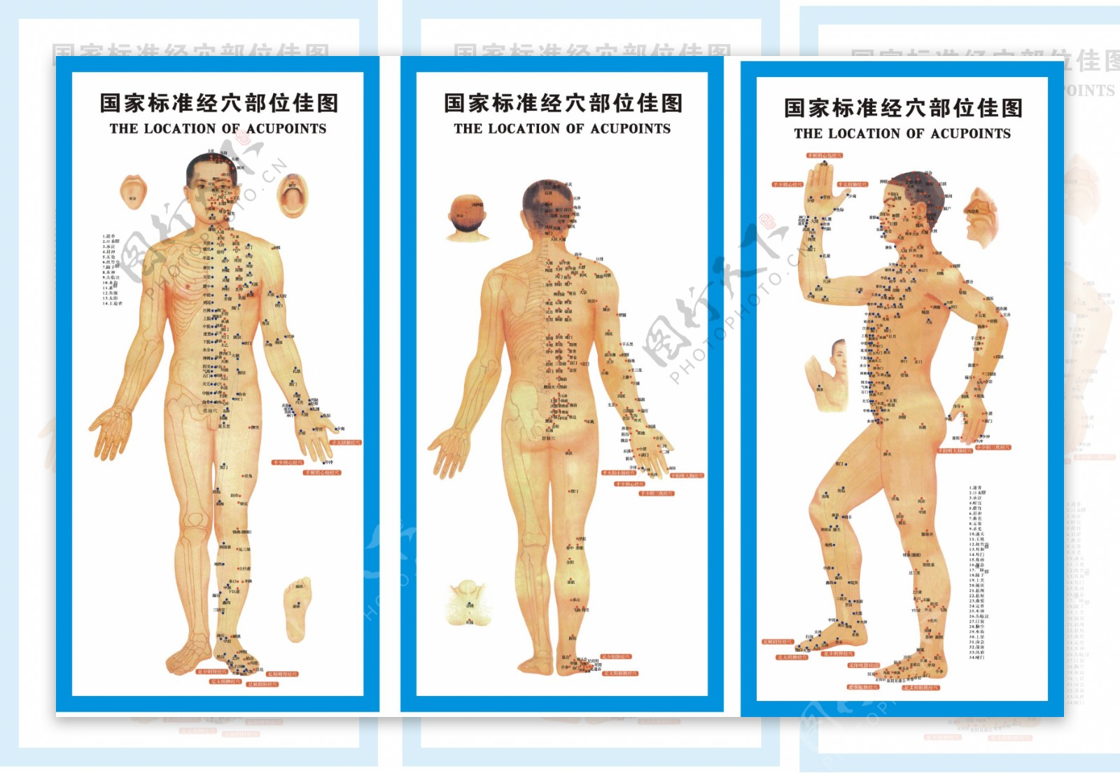 国家标准经穴部位挂图