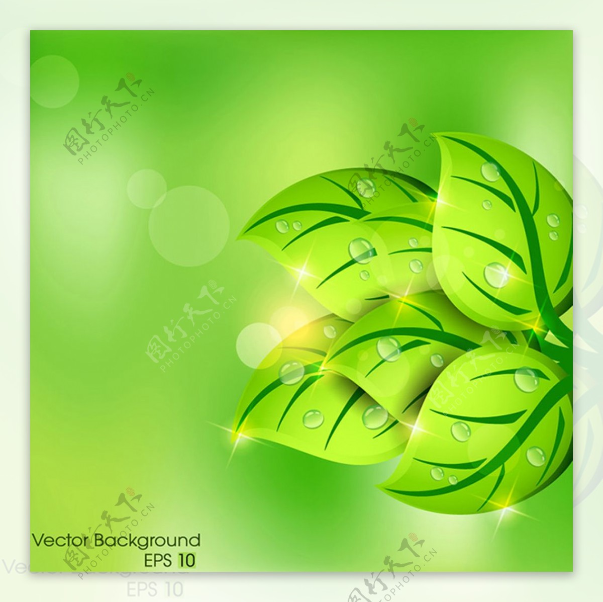 绿色树叶植物矢量图