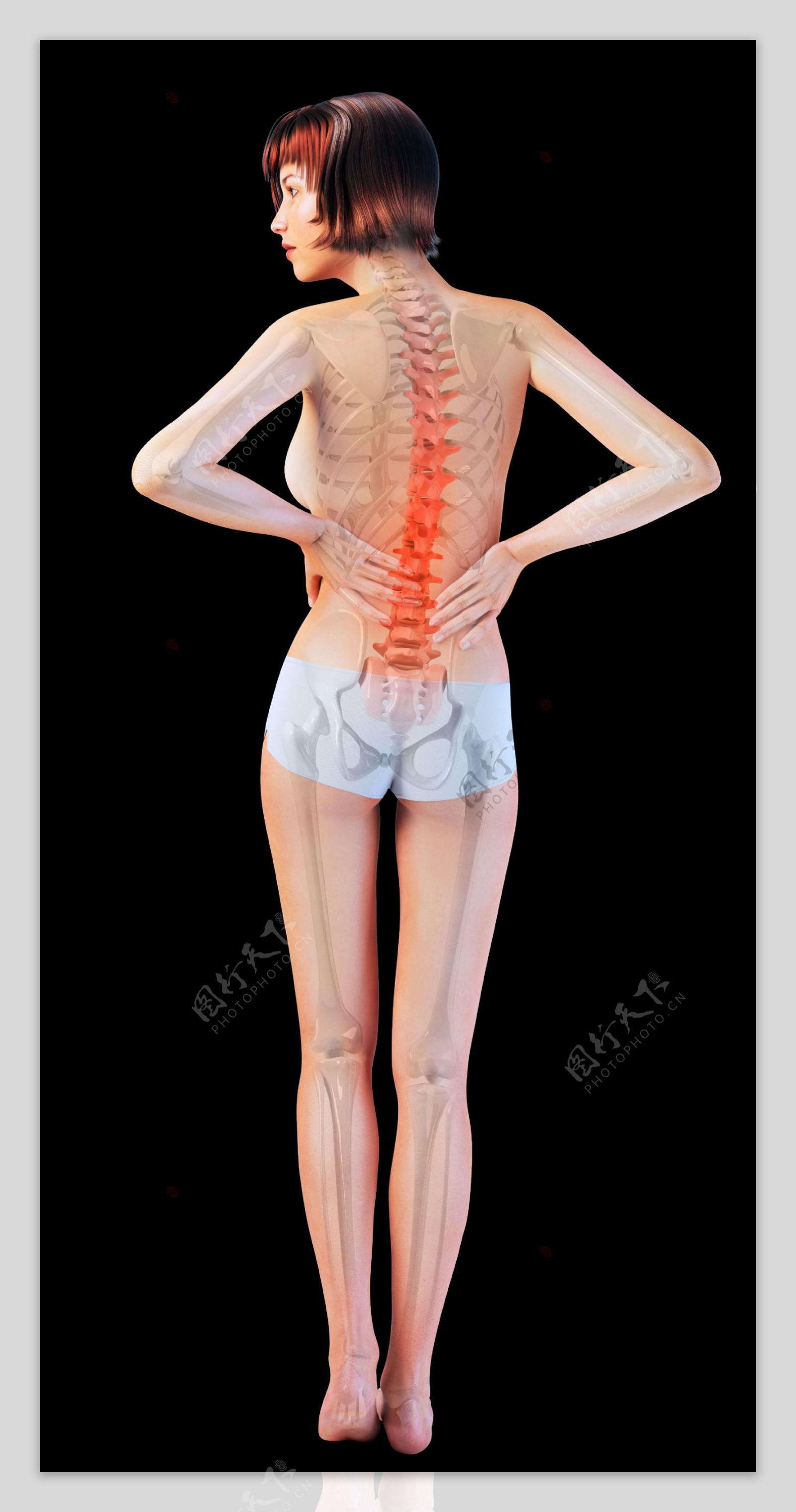 女性脊椎X光图像图片