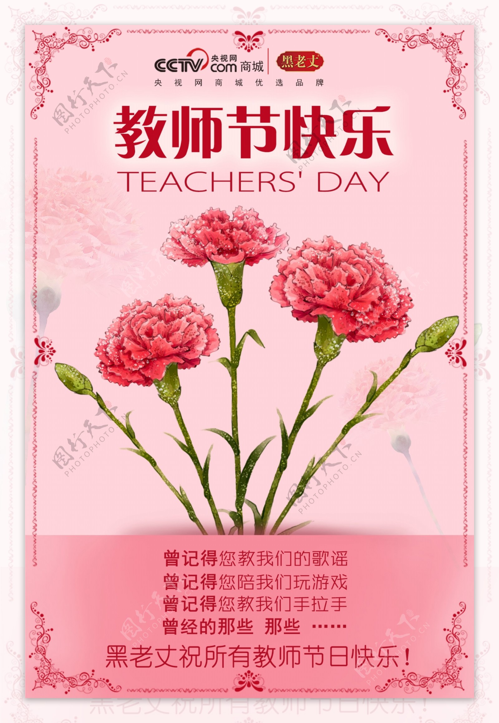 教师节康乃馨粉色背景节日快乐