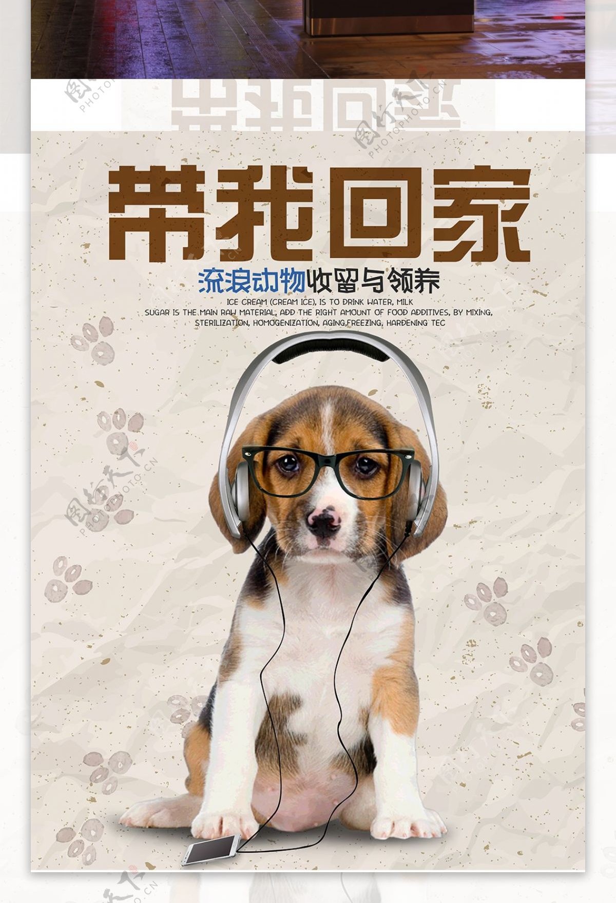 流浪动物领养宣传公益海报