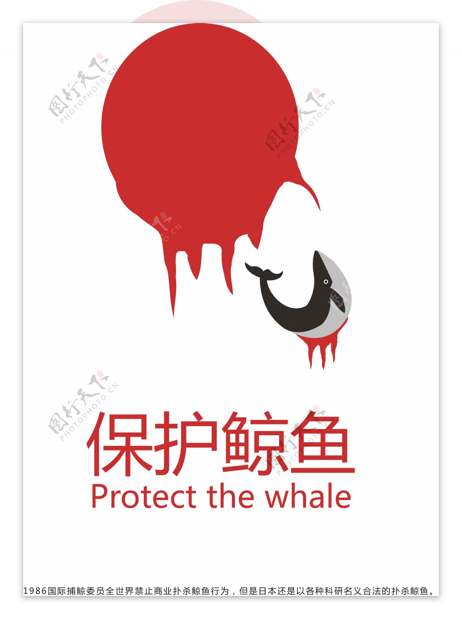 保护鲸鱼
