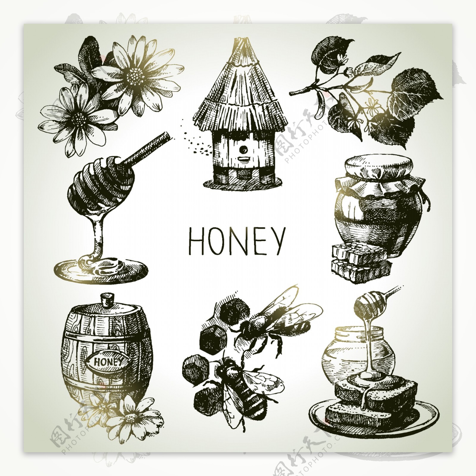 手绘蜜蜂与蜂蜜