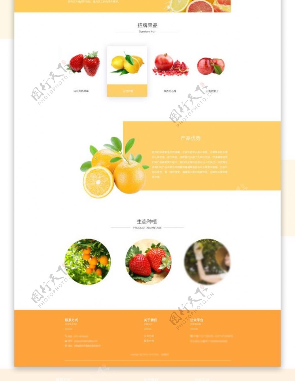 果果精品水果企业站UI网页