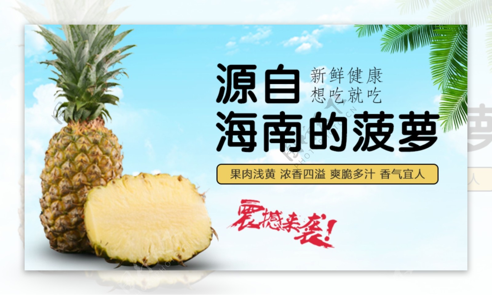 海南香水菠萝