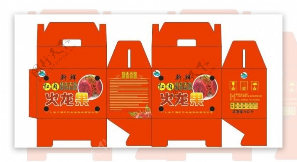 红肉火龙果包装设计图片模板下载