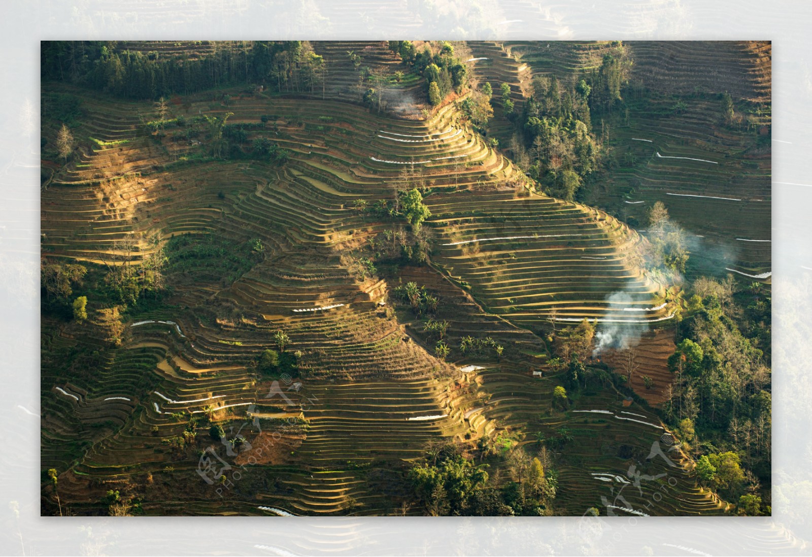 云南元阳梯田风景