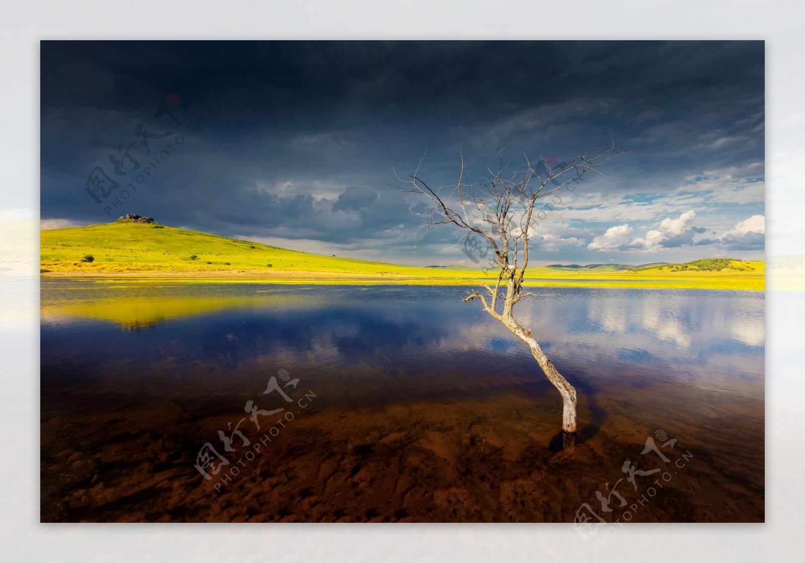 乌兰布统的夏季风景