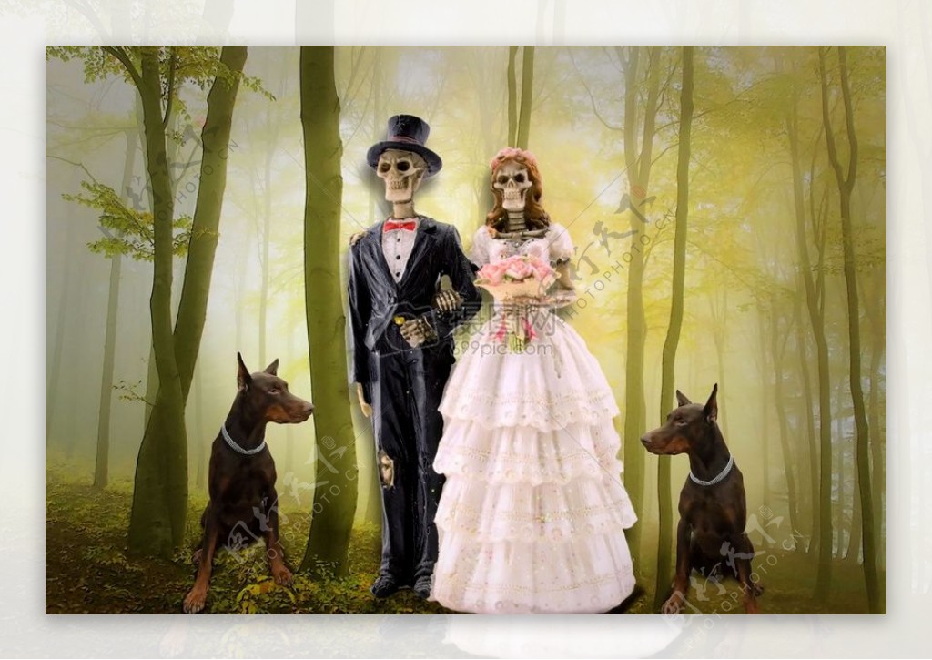 森林里的新娘和新郎