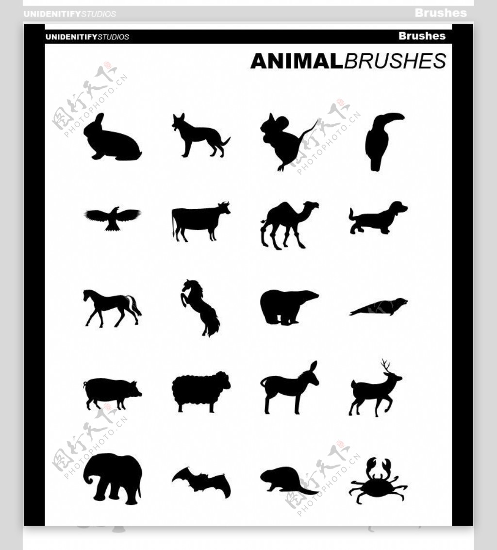 20种动物矢量笔刷下载