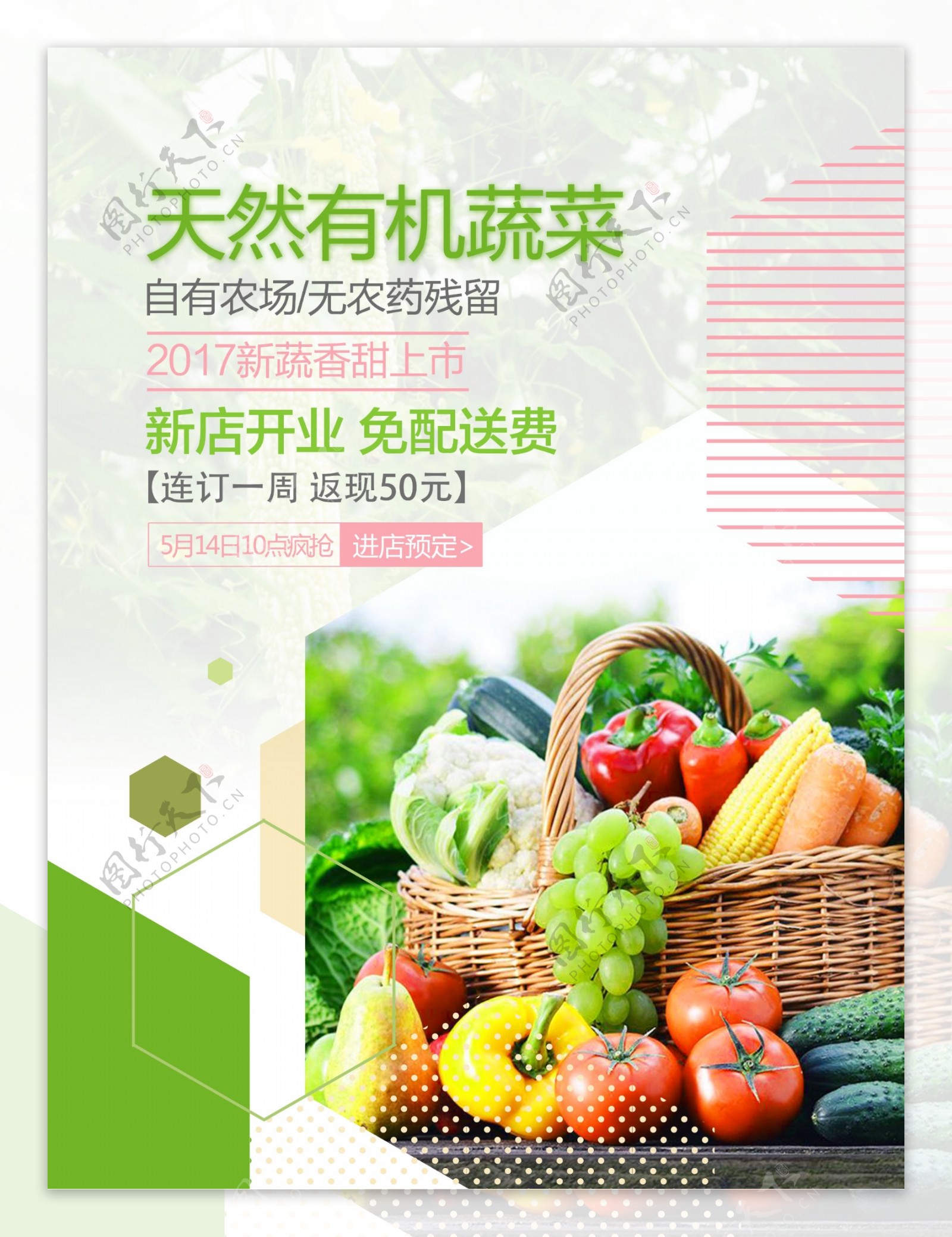 天然蔬菜上市海报设计
