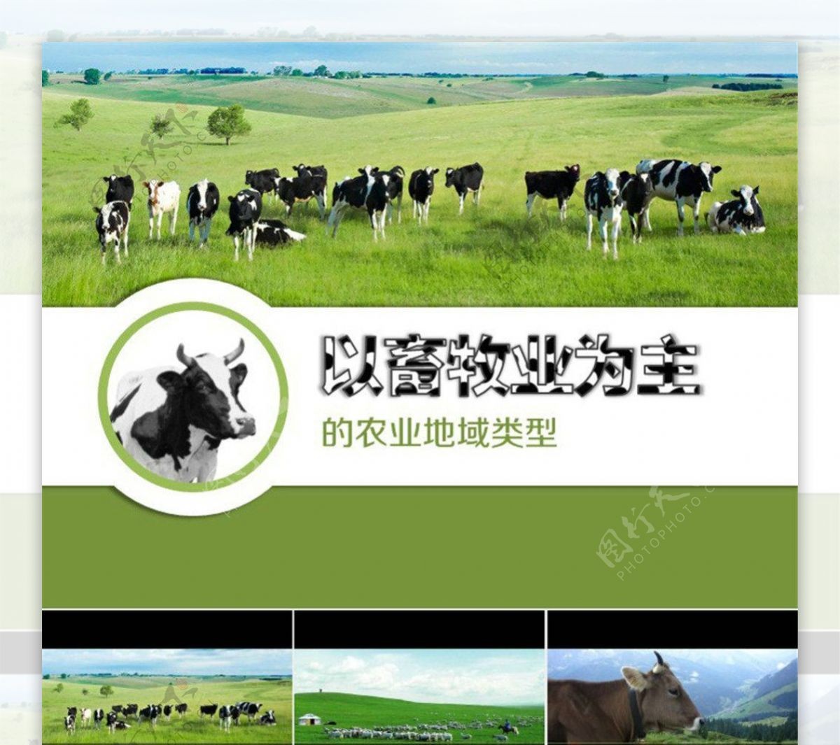 以畜牧业为主的农业地域类型ppt地理课件