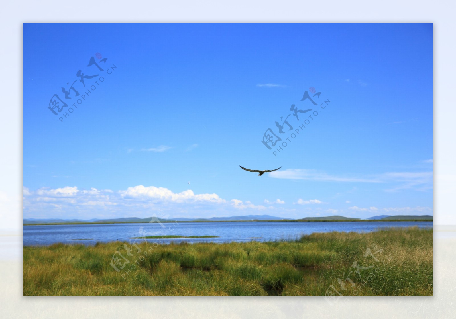 四川若尔盖花湖风景