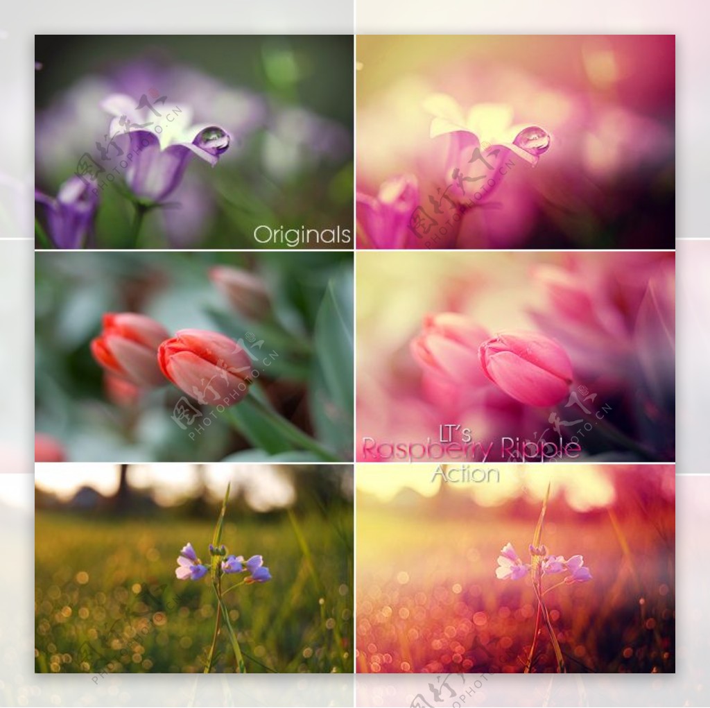 LTs系列照片添加梦幻紫红色效果PS动作