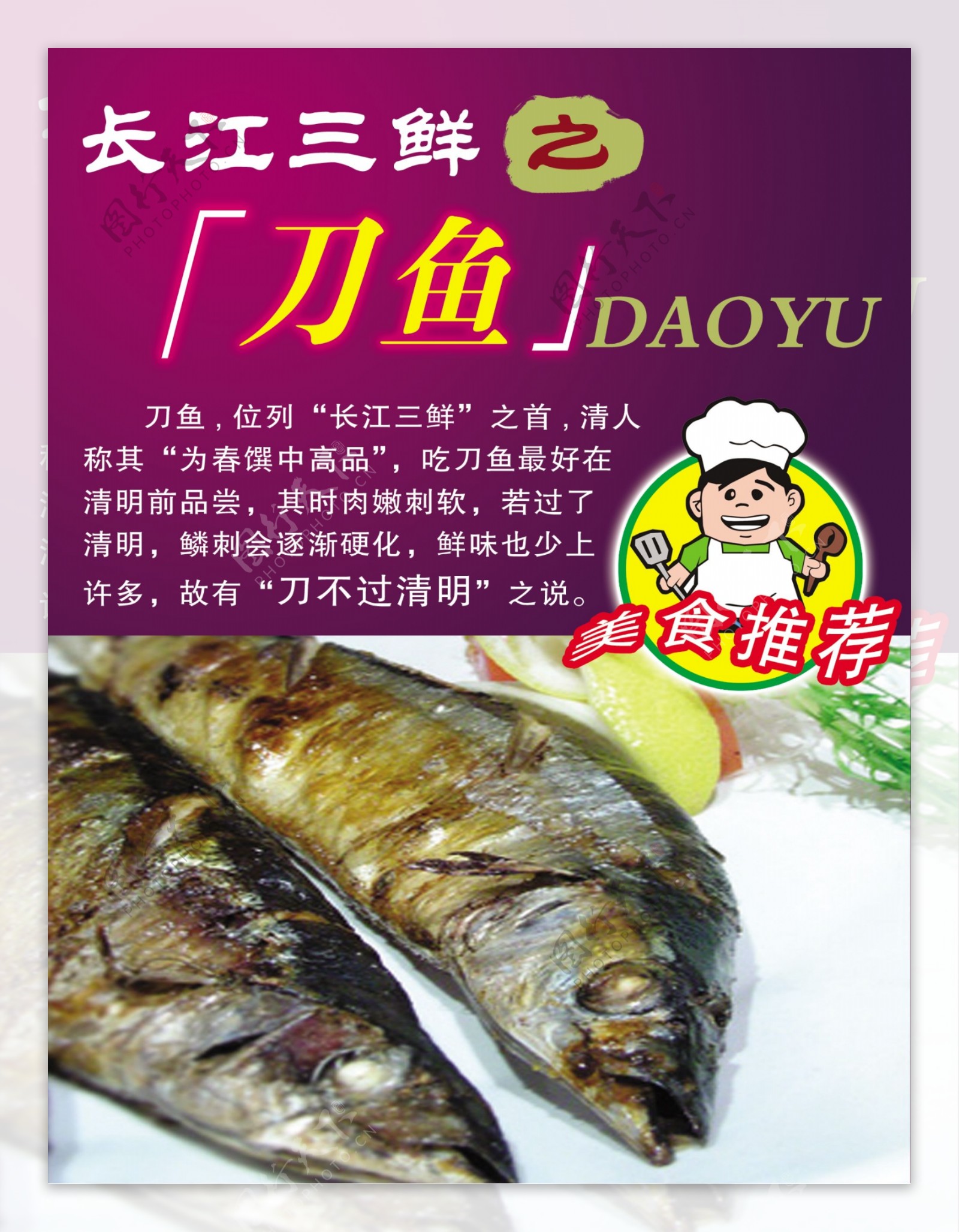 长江刀鱼海报宣传图片