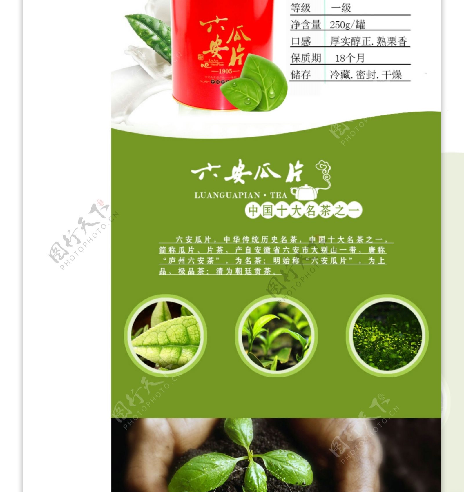 茶叶宝贝详情