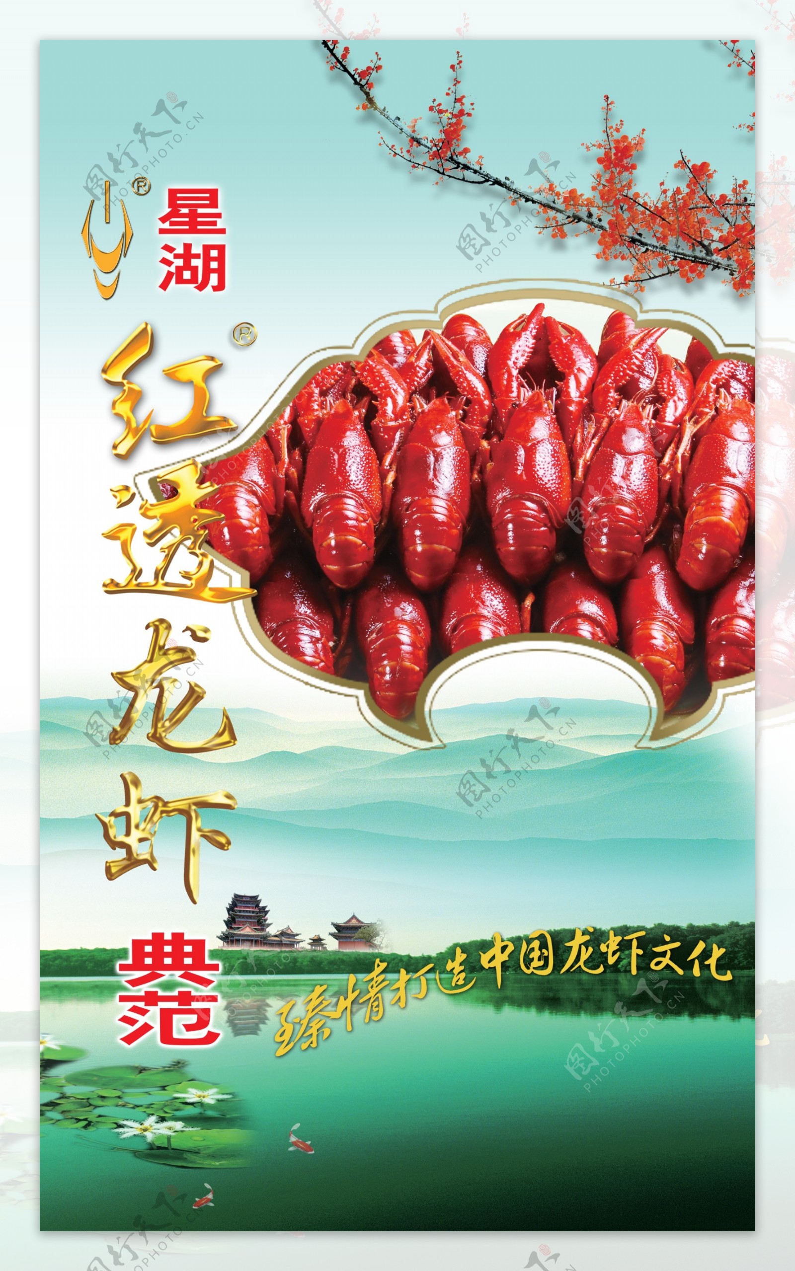 红透龙虾典范图片