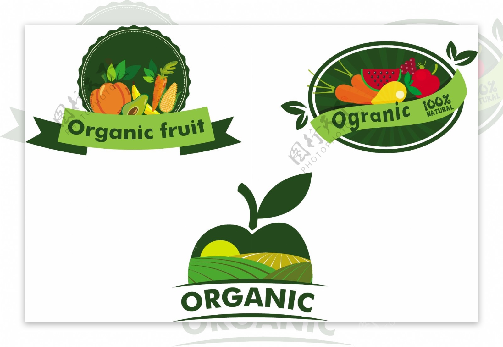 天然蔬菜图标设计