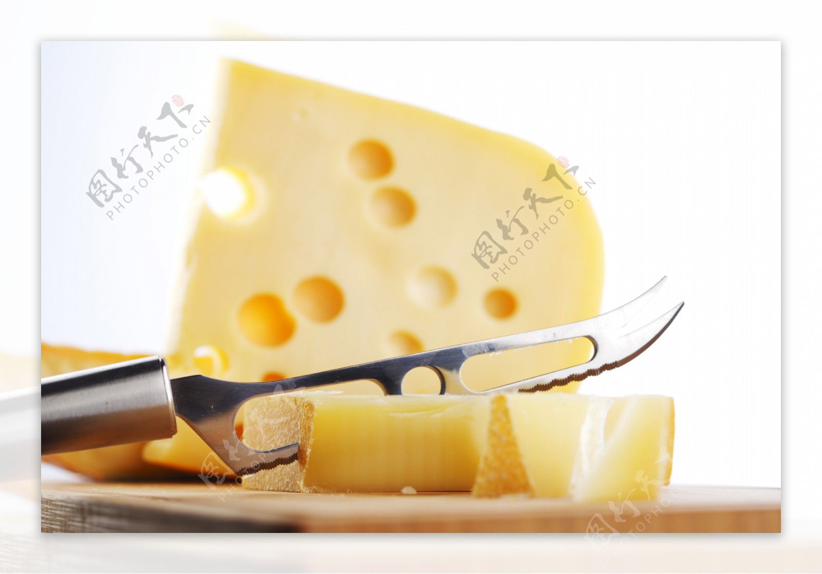 奶酪制品摄影图片