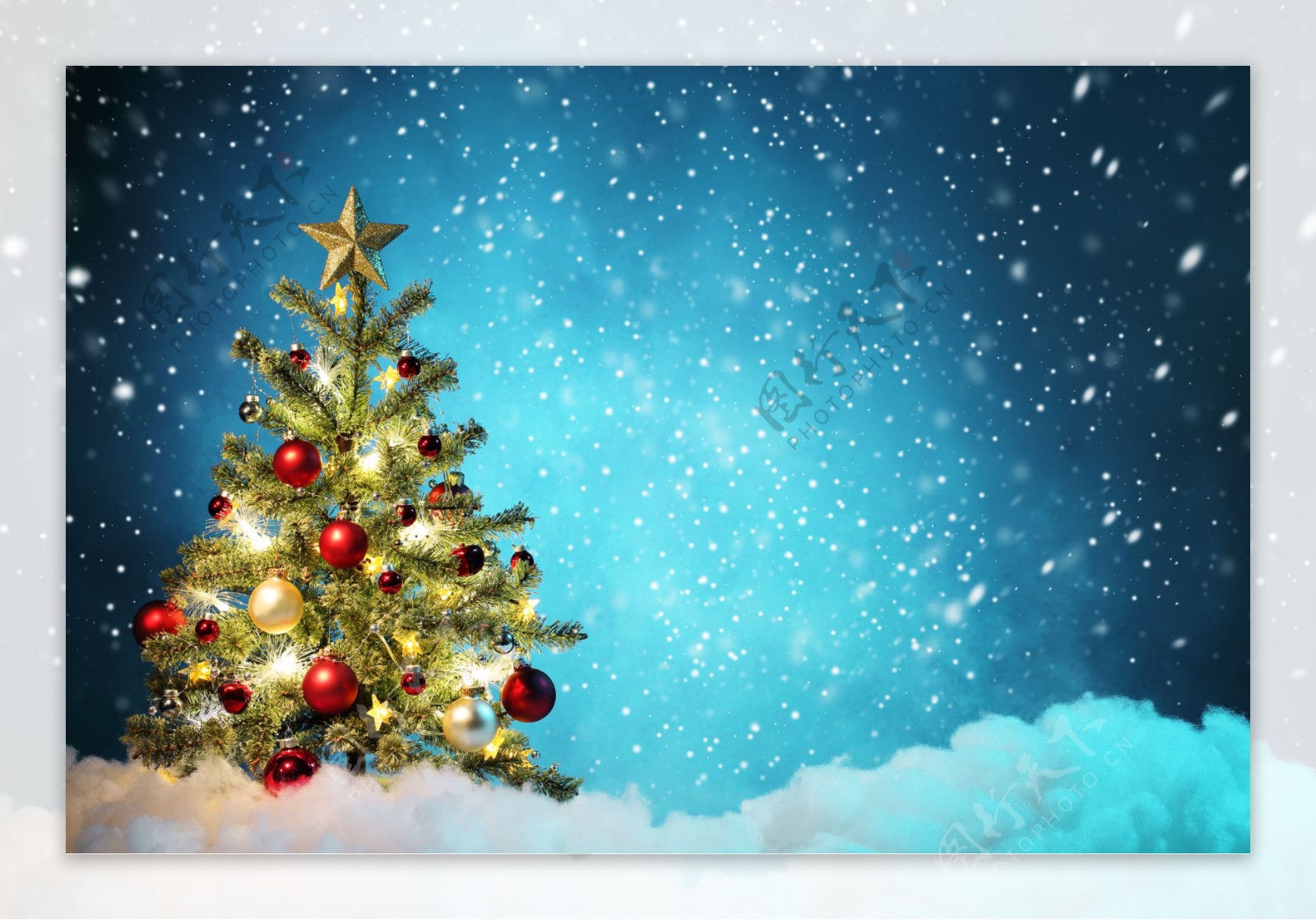 蓝色雪地中的圣诞树图片