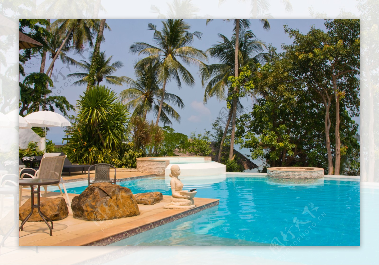 椰树与泳池摄影图片