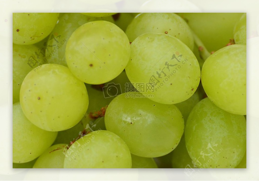 美味的绿葡萄