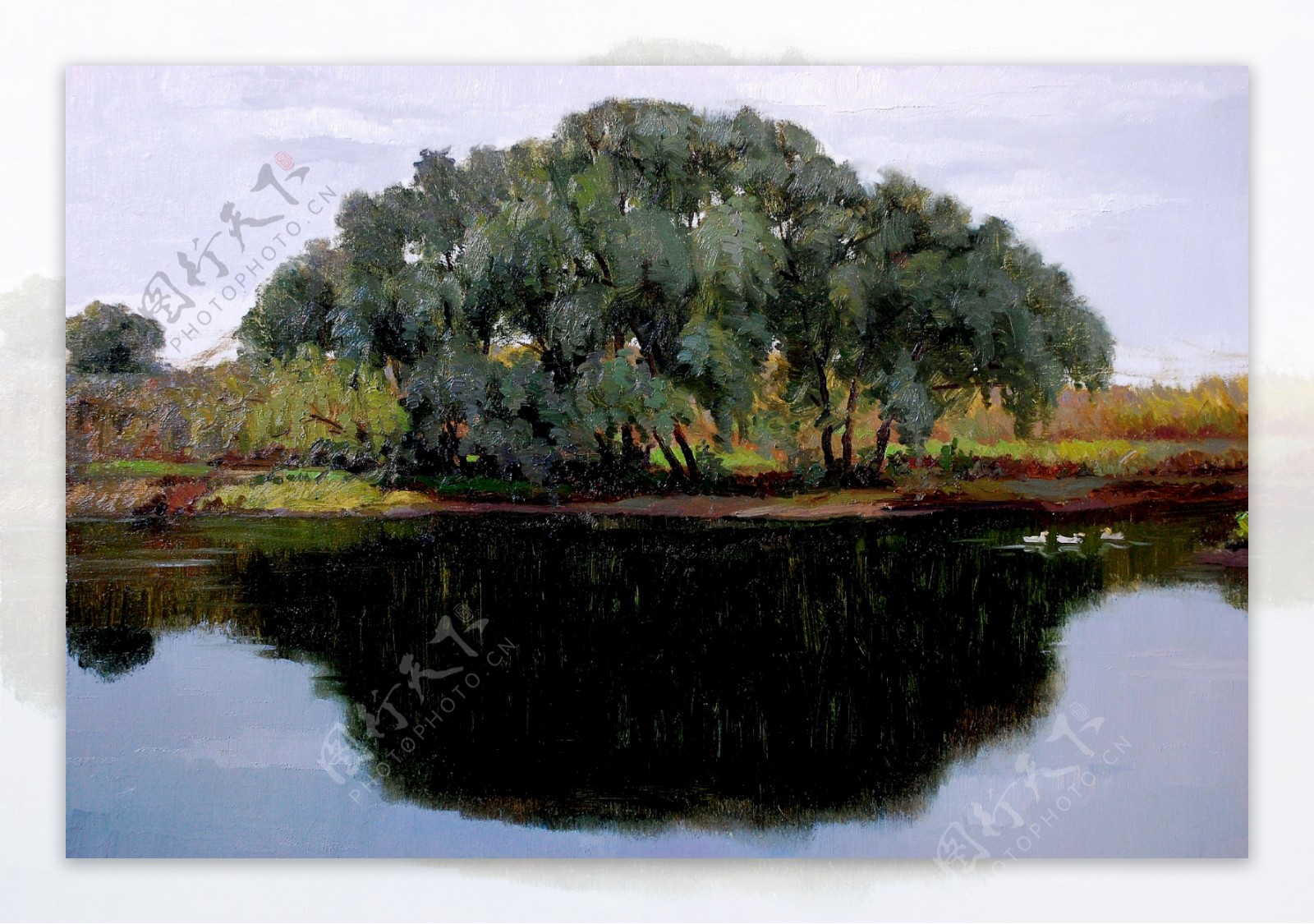 湖对岸的大树油画图片
