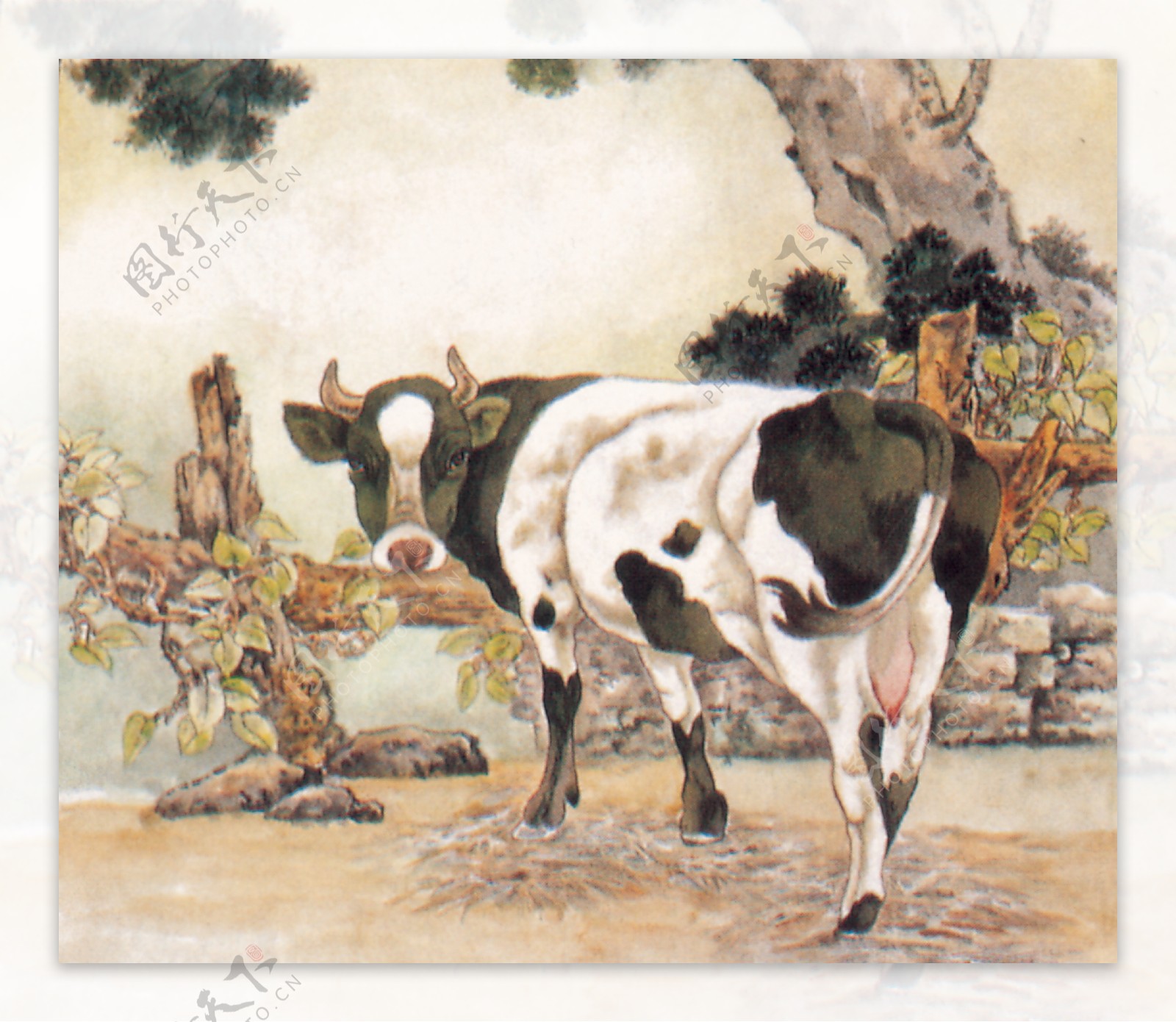 国画奶牛图片