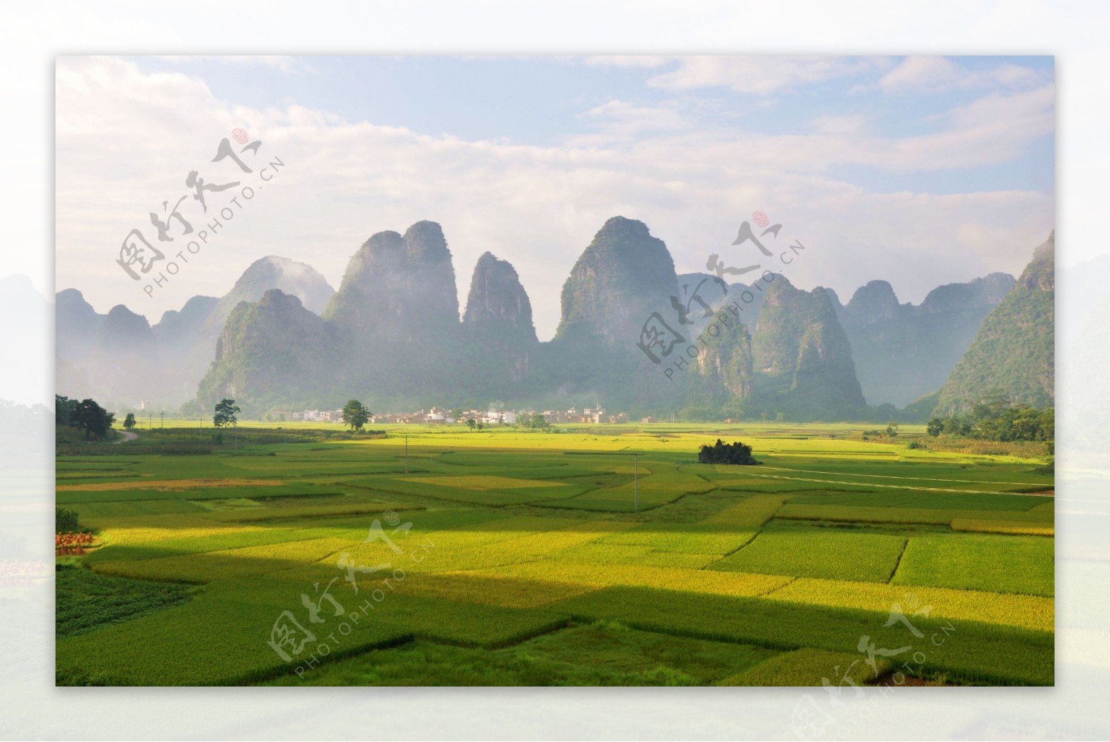 山村水稻景观图片