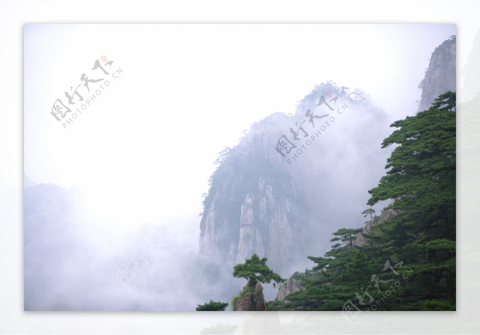 大雾下的黄山美景图片
