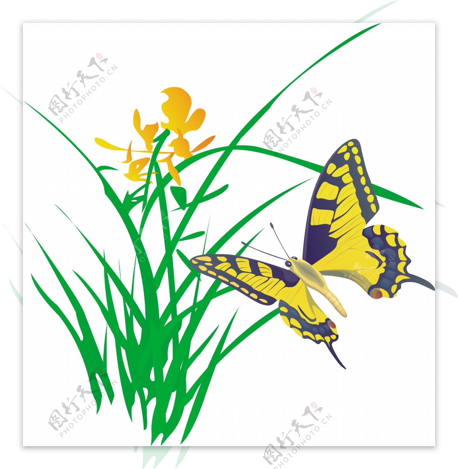 蝴蝶昆虫缤纷彩蝶矢量动物卡通动物AI格式0087