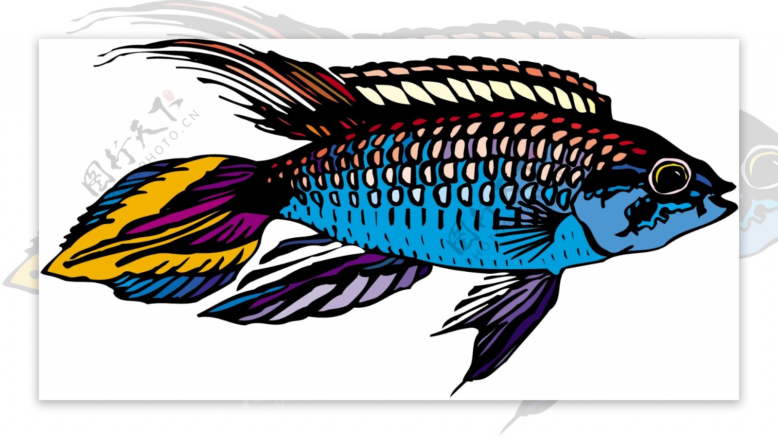 五彩小鱼水生动物矢量素材EPS格式0184