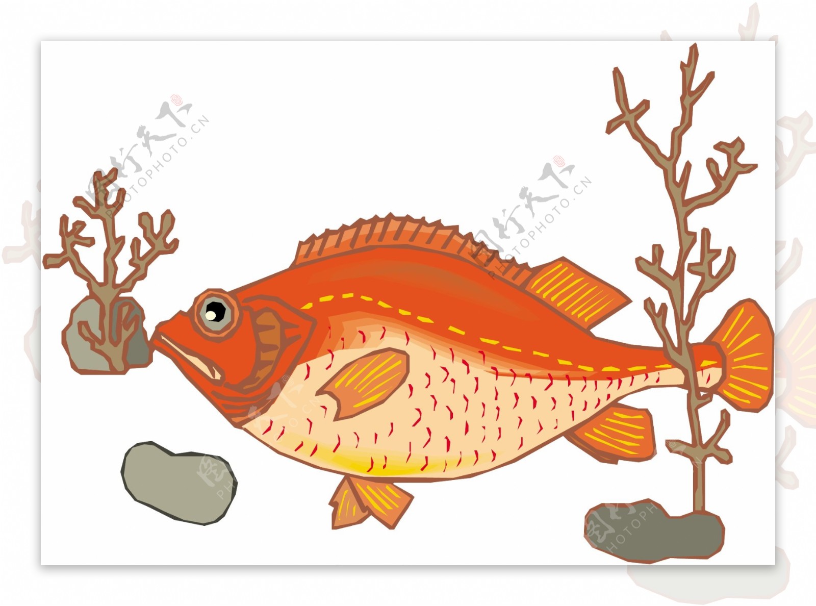 五彩小鱼水生动物矢量素材EPS格式0446