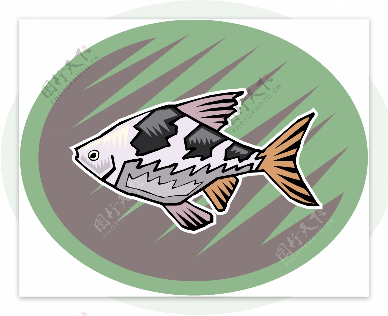 五彩小鱼水生动物矢量素材EPS格式0506
