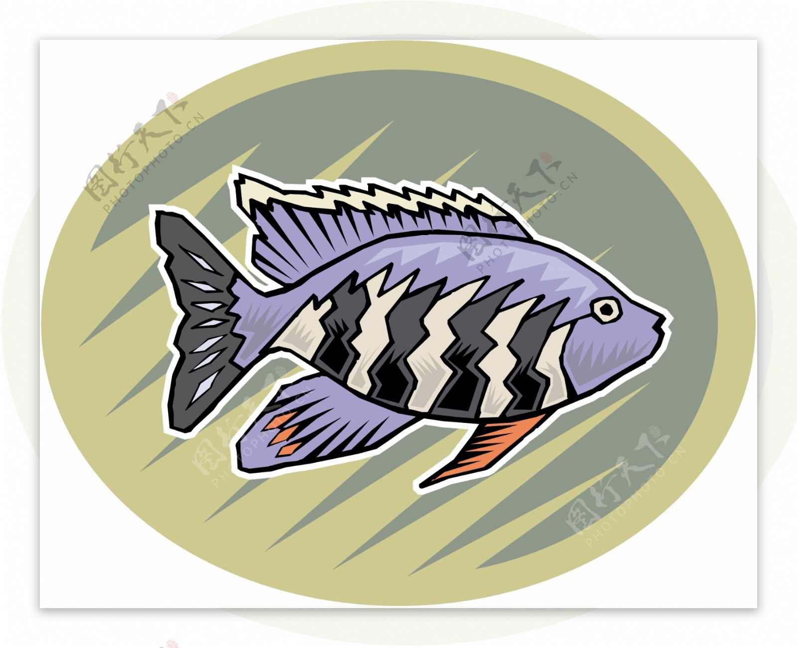 五彩小鱼水生动物矢量素材EPS格式0518