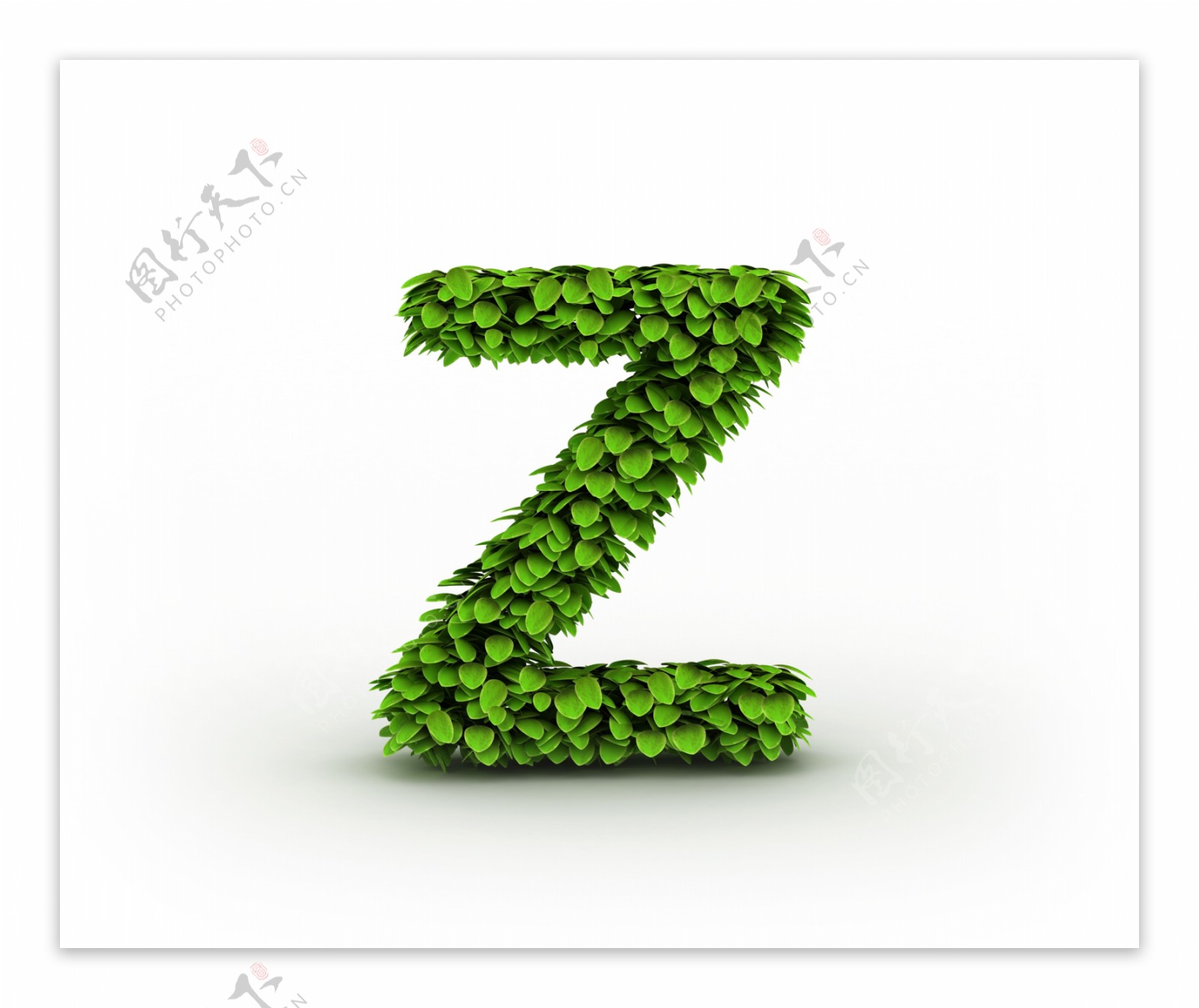 绿叶组成的字母Z图片