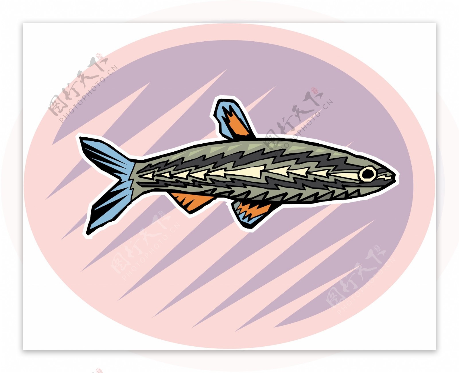 五彩小鱼水生动物矢量素材EPS格式0528