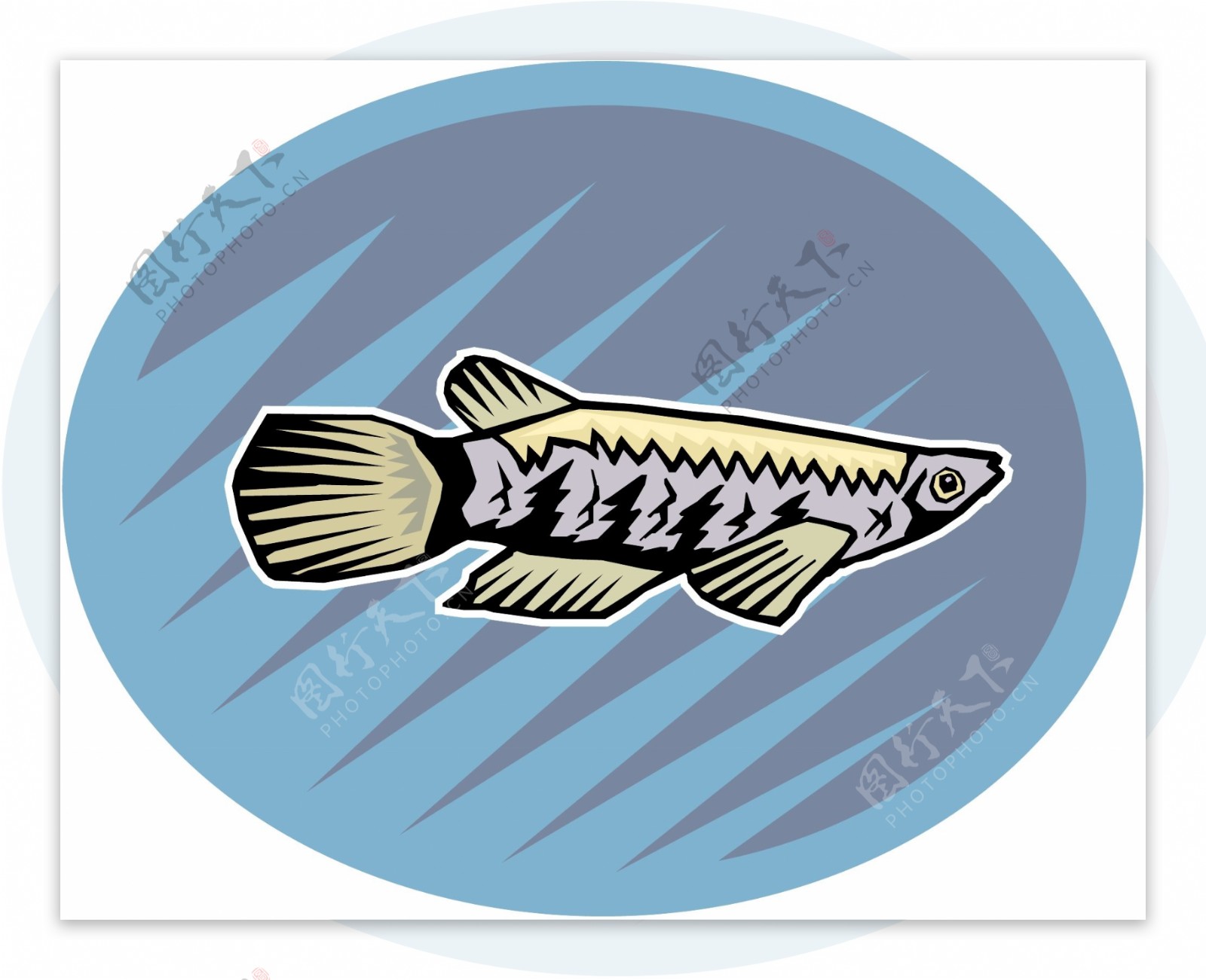 五彩小鱼水生动物矢量素材EPS格式0704