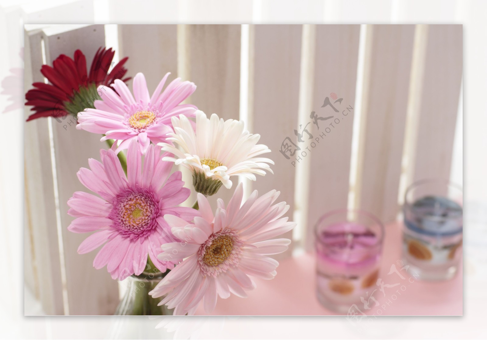 粉色花朵与玻璃杯图片