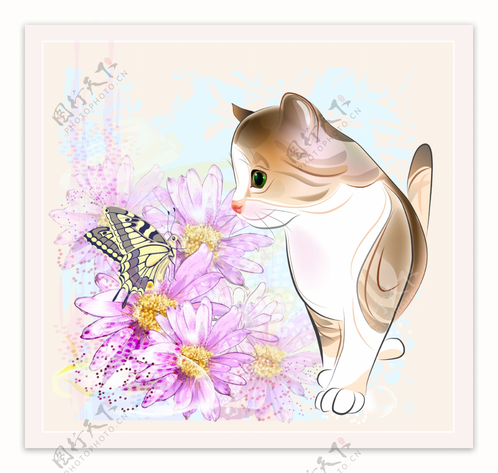 卡通小猫与蝴蝶图片