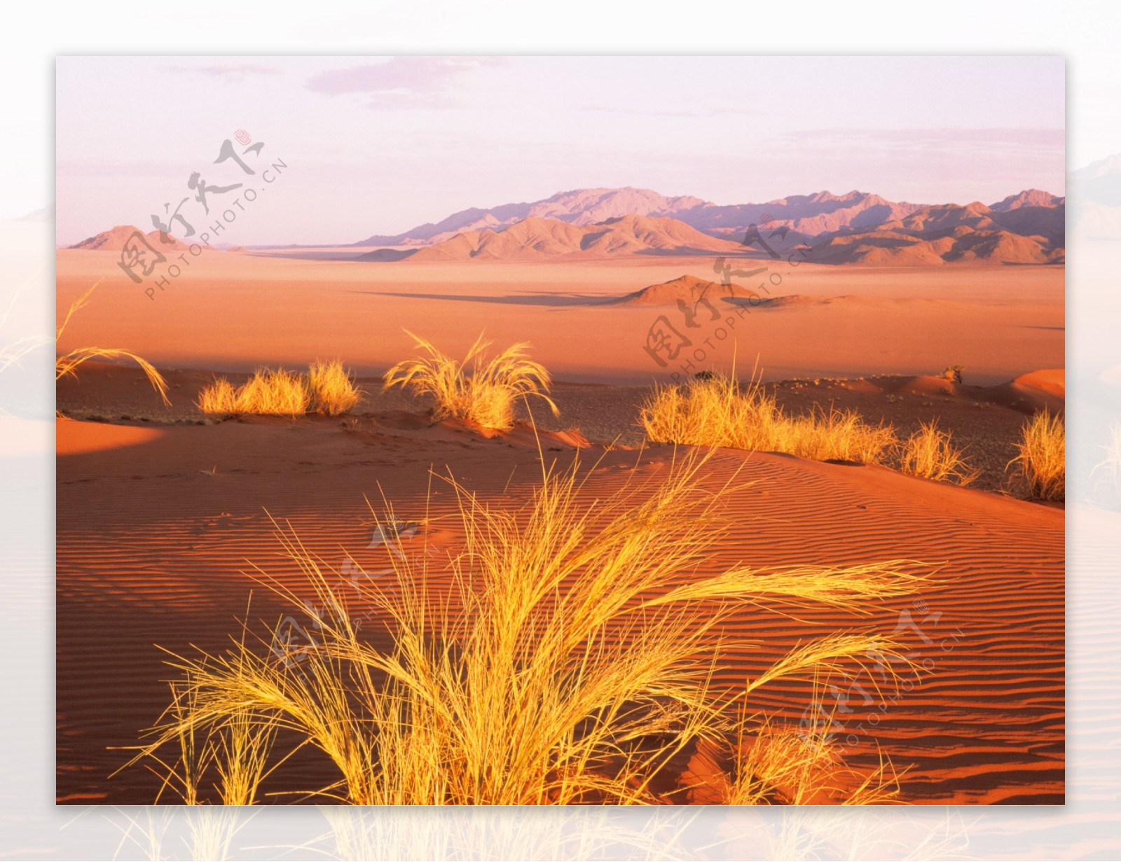 沙漠风光美景图片