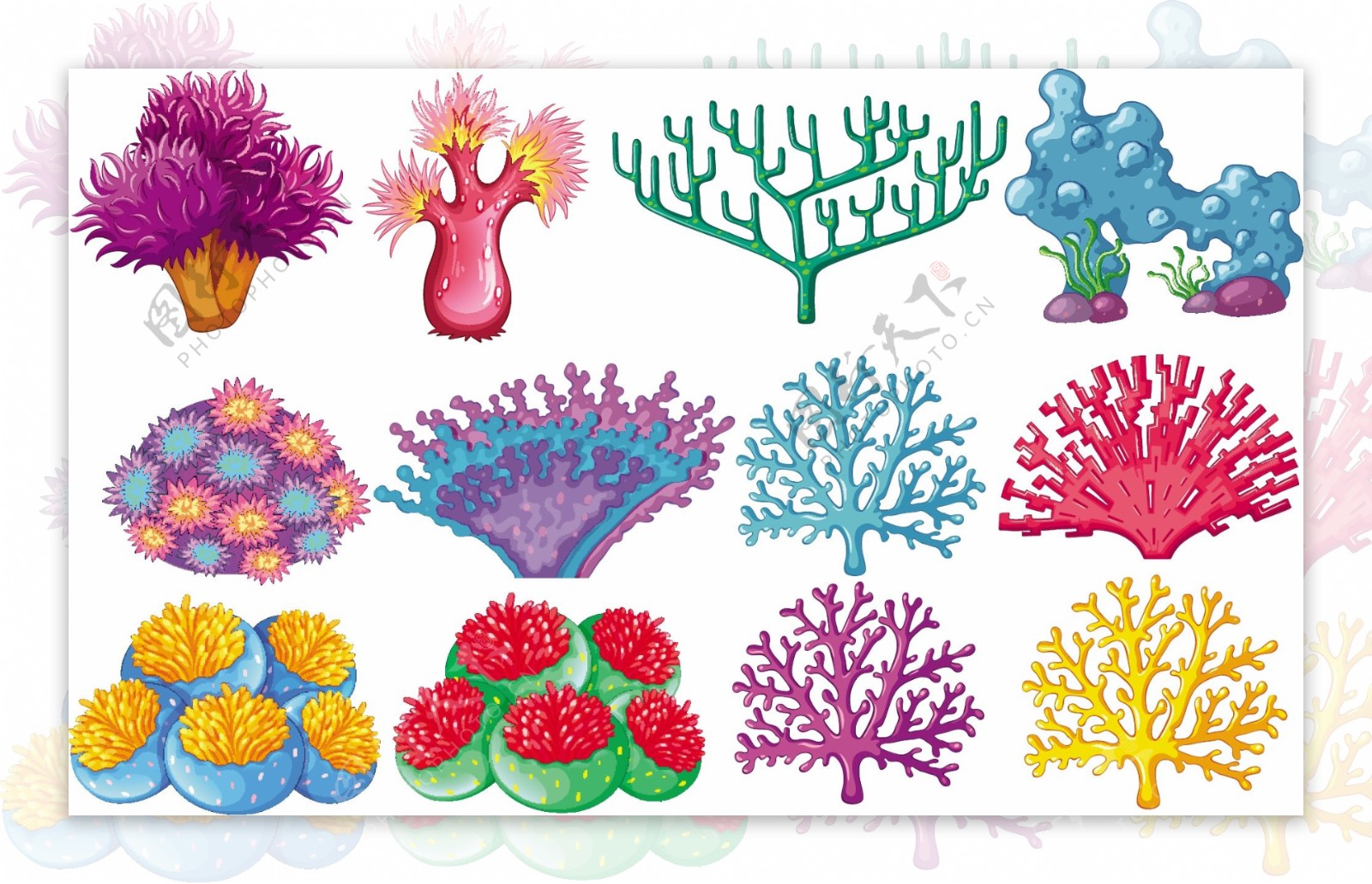 不同类型的珊瑚礁插图