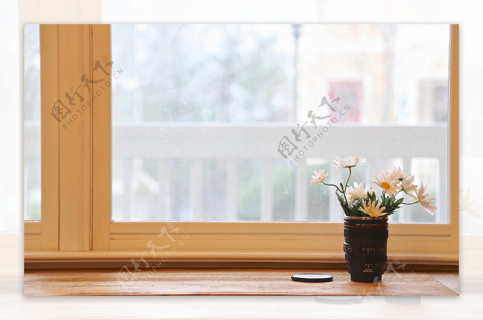 简约窗台小雏菊背景