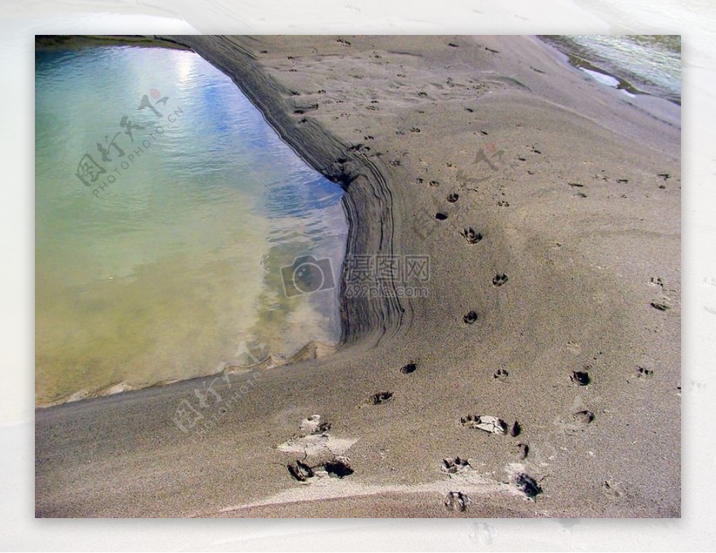 泥滩上的足迹