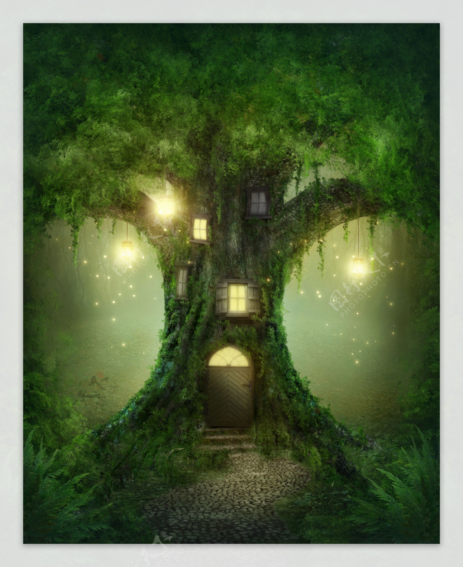 神秘树林里大树上的房屋图片