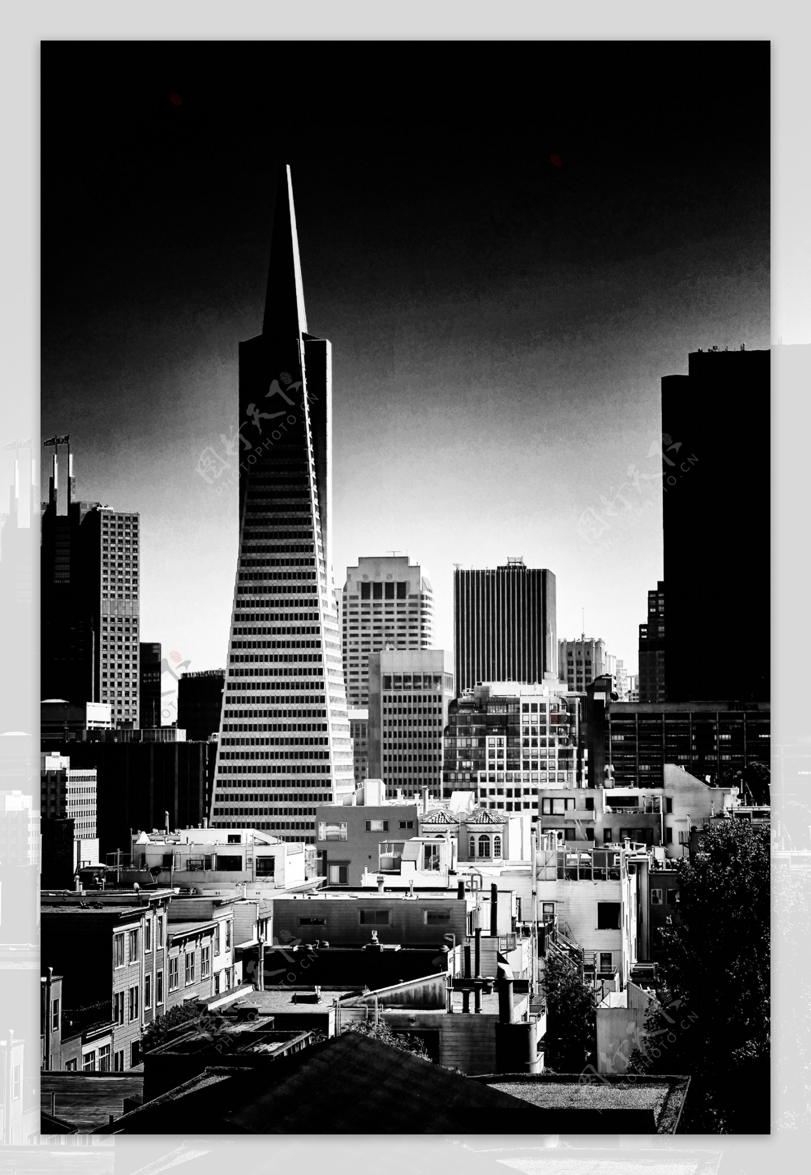 旧金山泛美金字塔大厦图片