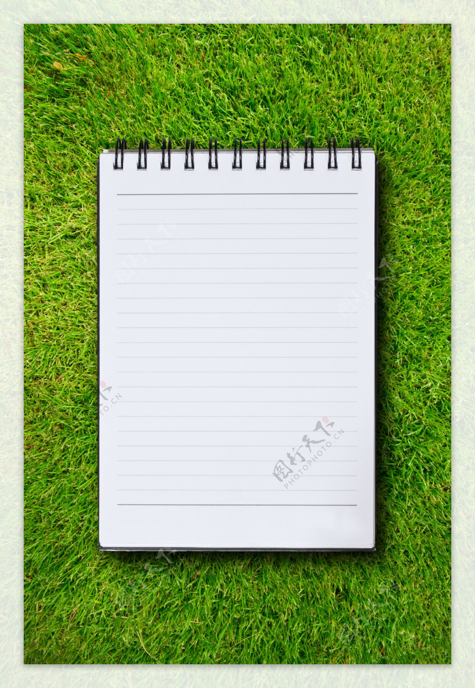 笔记本与草地背景图片