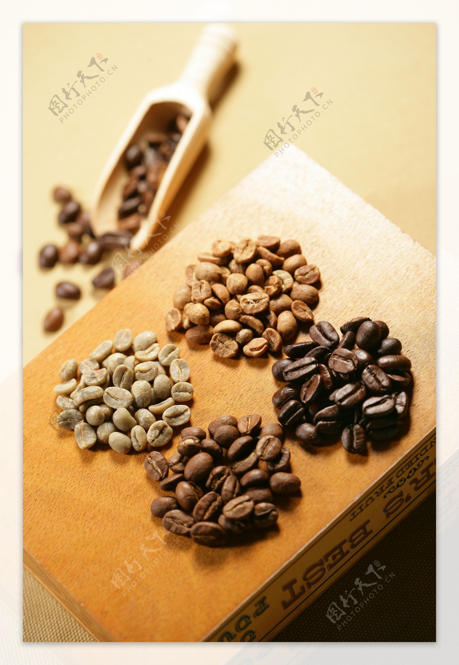 四种咖啡豆图片